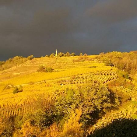 Wine Passion Panoramic Chavanay Exterior foto