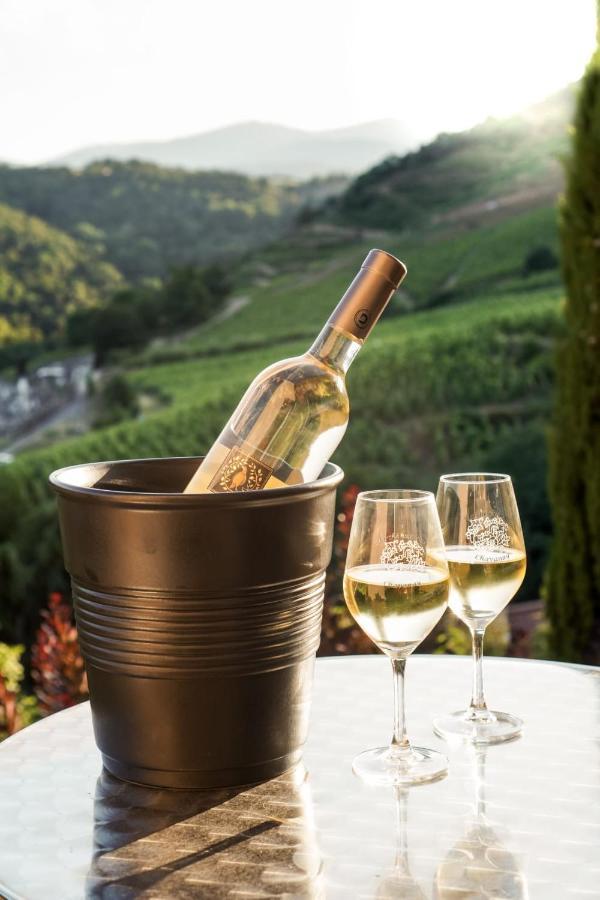 Wine Passion Panoramic Chavanay Exterior foto