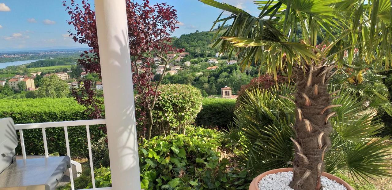 Wine Passion Panoramic Chavanay Exterior foto