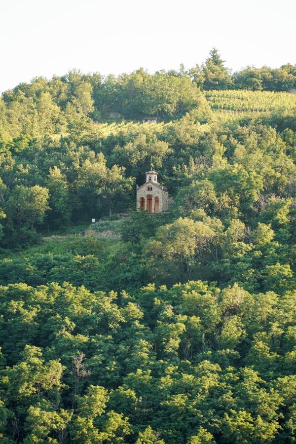 Wine Passion Panoramic Chavanay Exterior foto