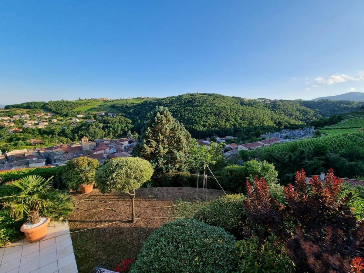 Wine Passion Panoramic Chavanay Exterior foto