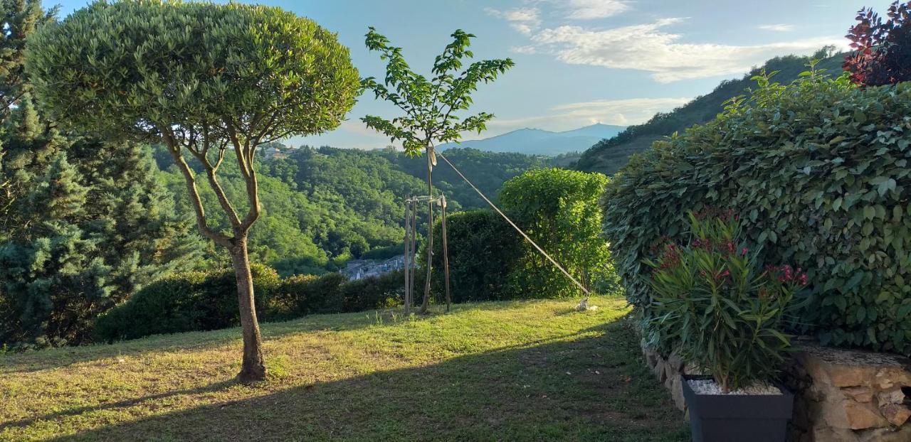 Wine Passion Panoramic Chavanay Exterior foto