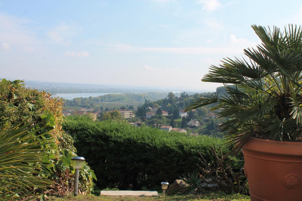 Wine Passion Panoramic Chavanay Exterior foto